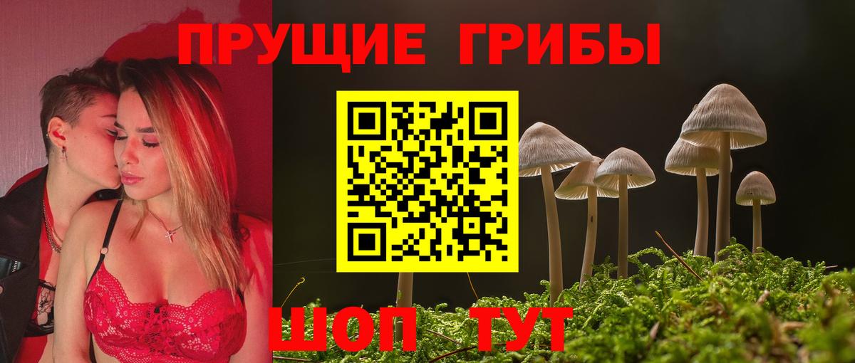 Псилоцибиновые грибы GOLDEN TEACHER Семёнов